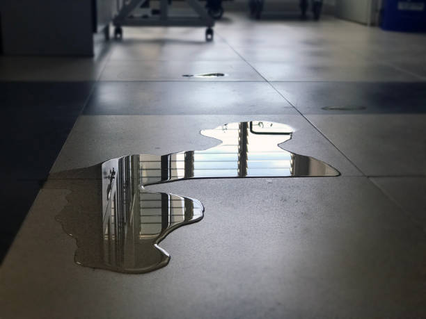 Best 24/7 water damage repair  in Ricardo, TX