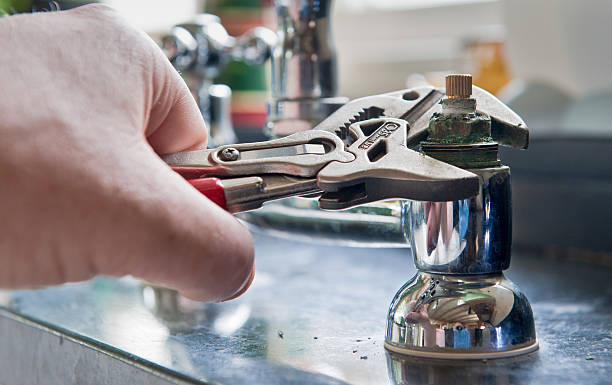 Best Flooded house restoration  in Ricardo, TX