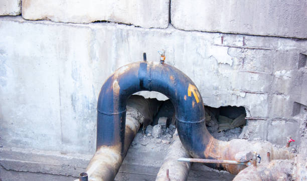 Best Sewage cleanup and water damage restoration  in Ricardo, TX